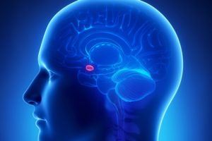 EEg træning | Neurofeedback | København | Sjælland